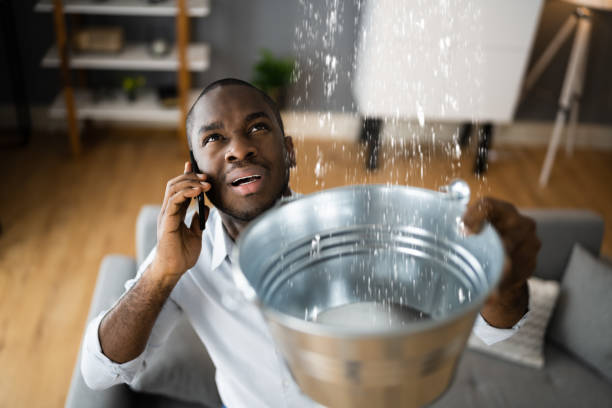 Best Mold removal after water damage  in Lynnwood Pricedale, PA