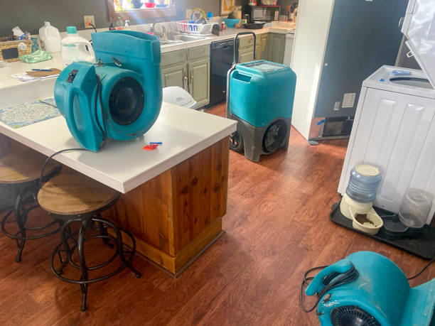 Best Local water damage restoration  in Lynnwood Pricedale, PA