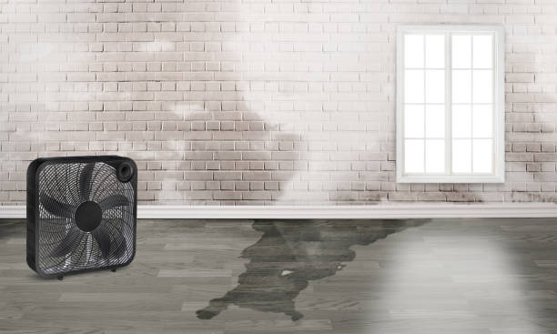 Best Commercial water damage restoration  in Lynnwood Pricedale, PA