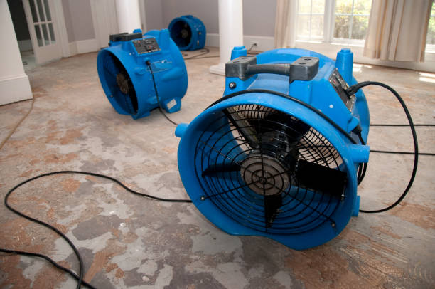 Best Water damage restoration insurance claims  in Lynnwood Pricedale, PA