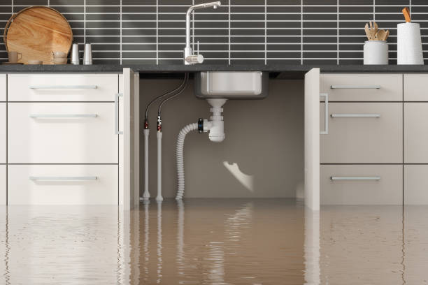 Best Water damage contractors near me  in Lynnwood Pricedale, PA