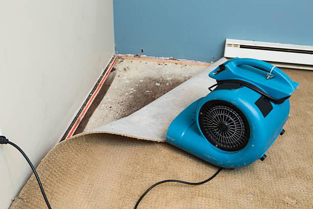 Best 24-hour water damage restoration  in Lynnwood Pricedale, PA
